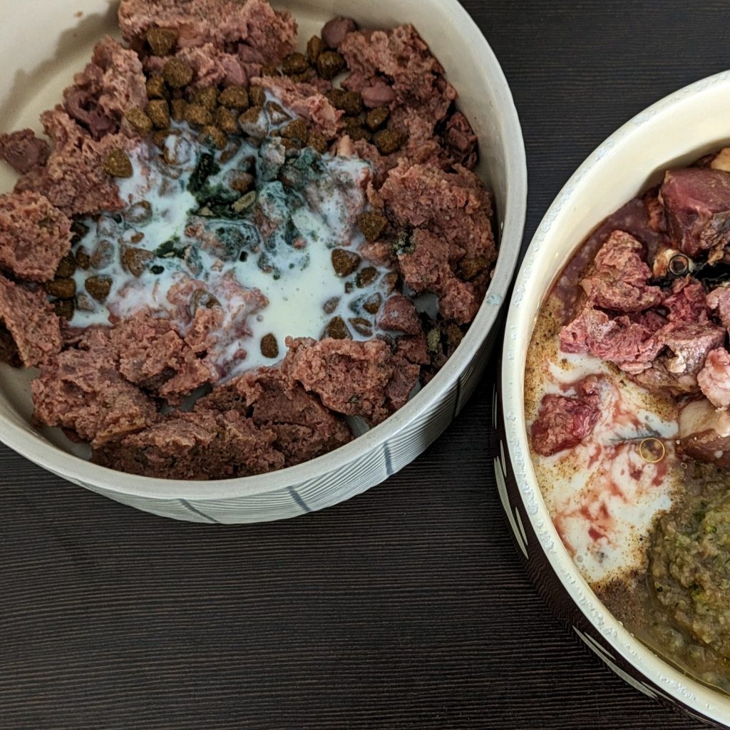 Zwei Schalen mit verschiedenen Arten von Haustierfutter, eine mit Trocken- und Naßfutter, die andere mit rohem Fleisch und Fisch.